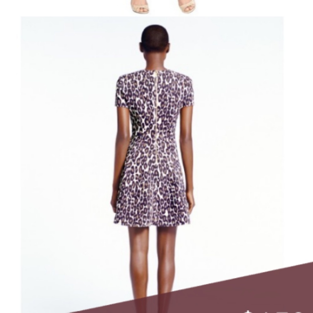 Kate Spade Autumn Leopard Flared Dress 4 nwot - Picture 7 of 14